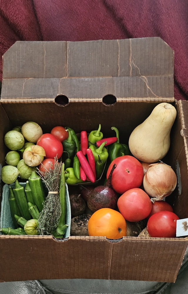 Fresh Produce Box from From the Ground Up Foods
