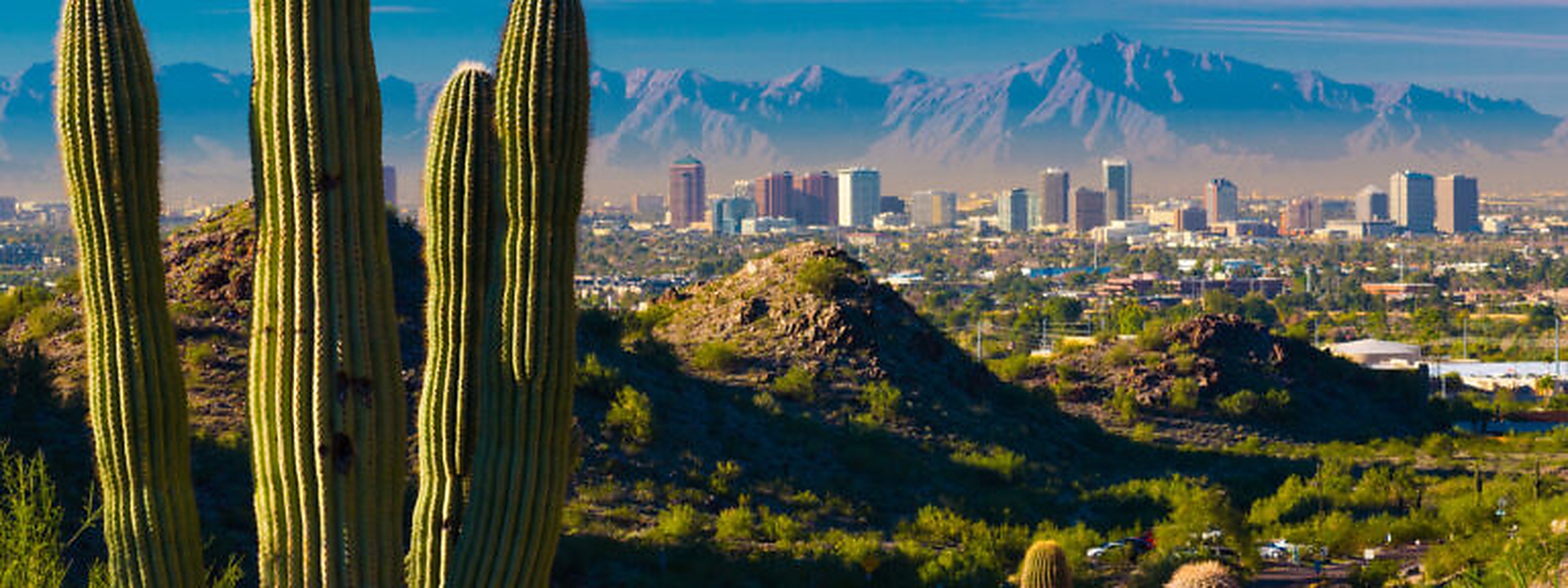 Photo of Phoenix