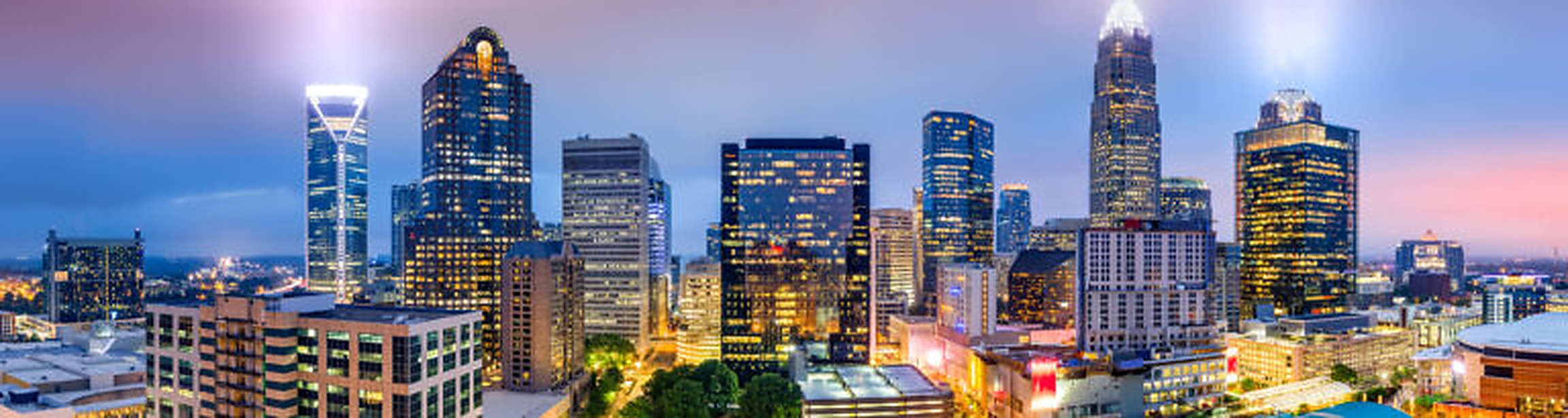 Photo of Charlotte